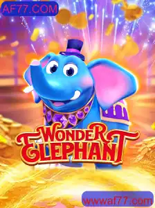WonderElephant: O Fascinante Mundo de AF77.COM